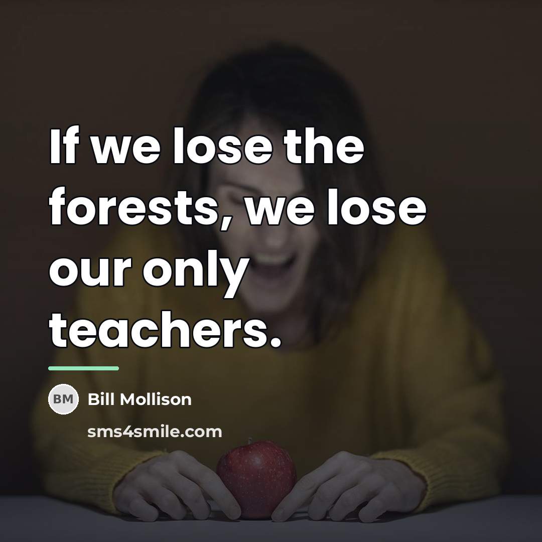 “If we lose the forests, we lose our only teachers.…” quote by Bill Mollison