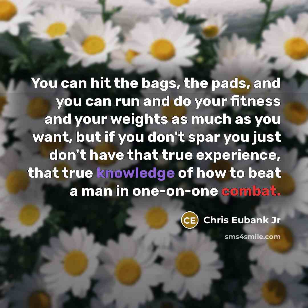 “You can hit the bags, the pads, and you can…” quote by Chris Eubank Jr