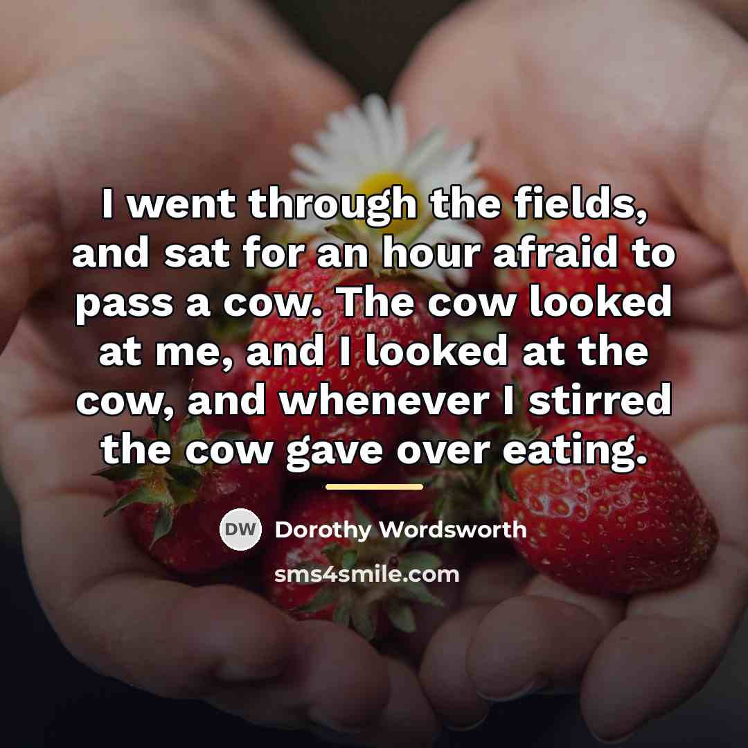 “I went through the fields, and sat for an hour…” quote by Dorothy Wordsworth