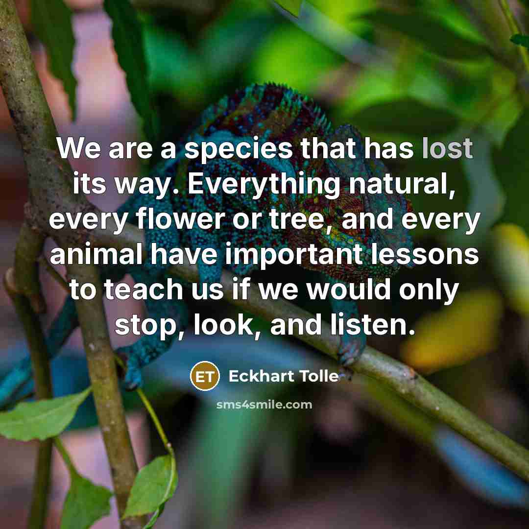 “We are a species that has lost its way. Everything…” quote by Eckhart Tolle