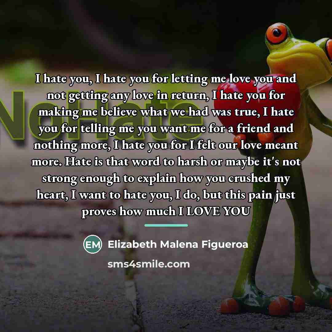 “I hate you, I hate you for letting me love…” quote by Elizabeth Malena Figueroa