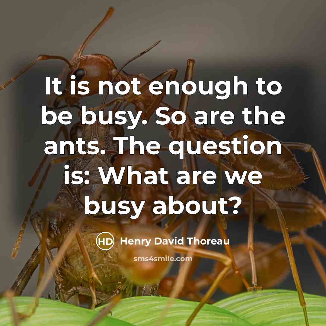 “It is not enough to be busy. So are the…” quote by Henry David Thoreau