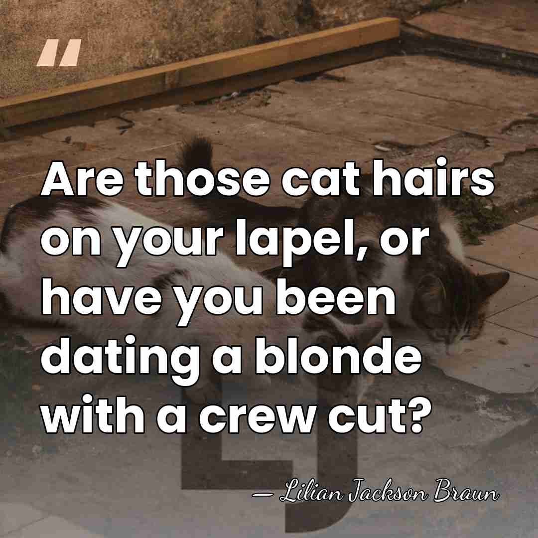 Are those cat hairs on your lapel, or have you been dating&hellip; - Lilian Jackson Braun