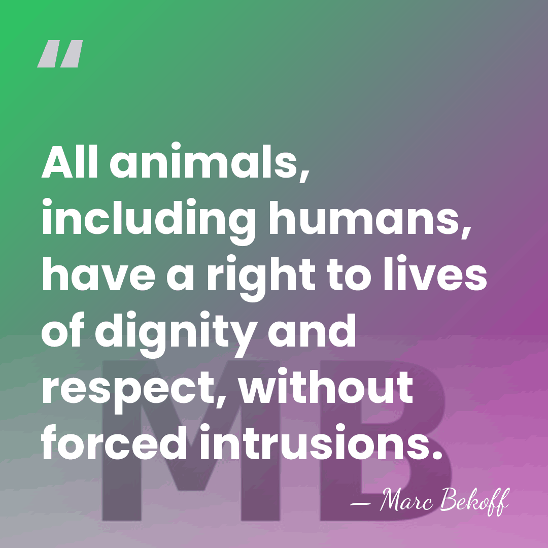All animals, including humans, have a right to lives of dignity and&hellip; - Marc Bekoff