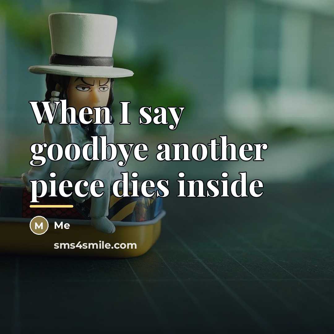 “When I say goodbye another piece dies inside…” quote by ME