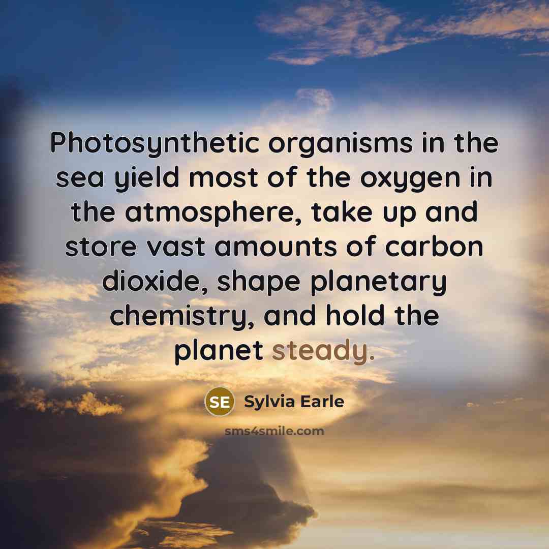 “Photosynthetic organisms in the sea yield most of the oxygen…” quote by Sylvia Earle