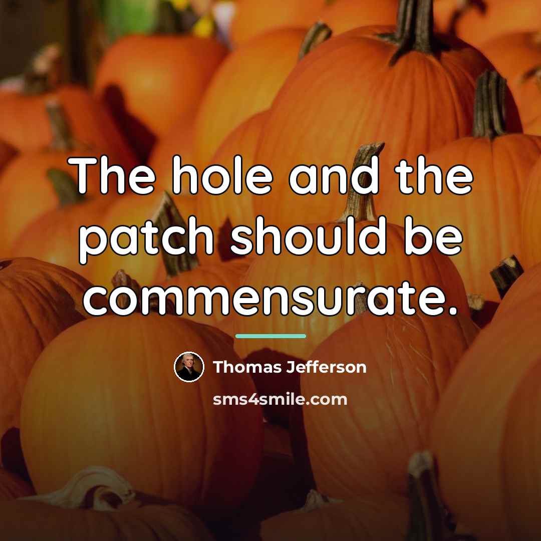 “The hole and the patch should be commensurate.…” quote by Thomas Jefferson