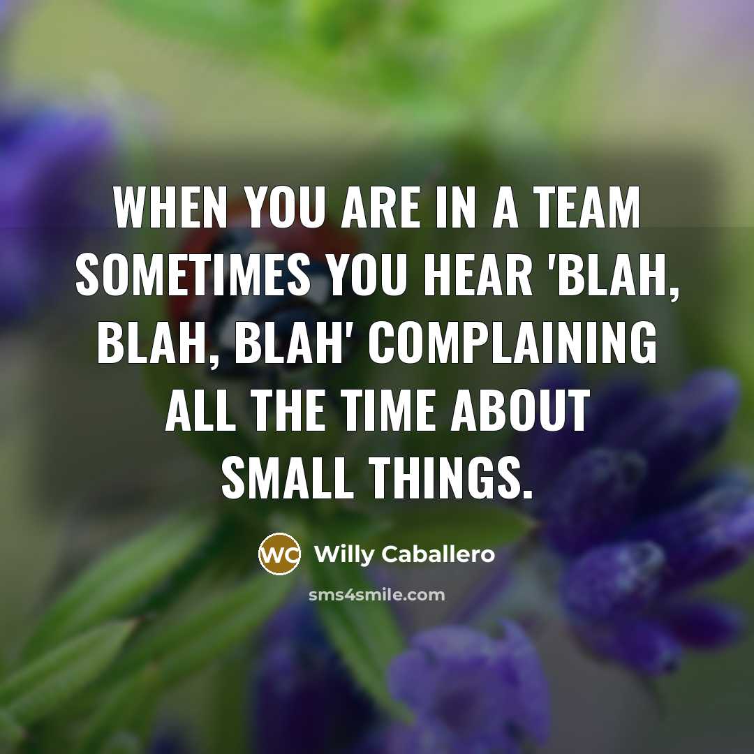 “When you are in a team sometimes you hear 'Blah,…” quote by Willy Caballero