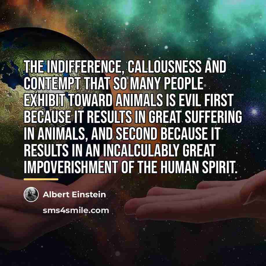 “The indifference, callousness and contempt that so many people exhibit…” quote by Albert Einstein