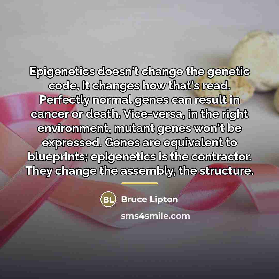 “Epigenetics doesn't change the genetic code, it changes how that's…” quote by Bruce Lipton