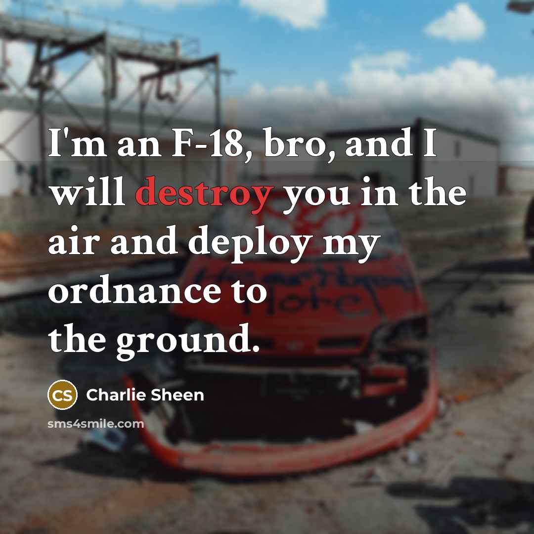 “I'm an F-18, bro, and I will destroy you in…” quote by Charlie Sheen