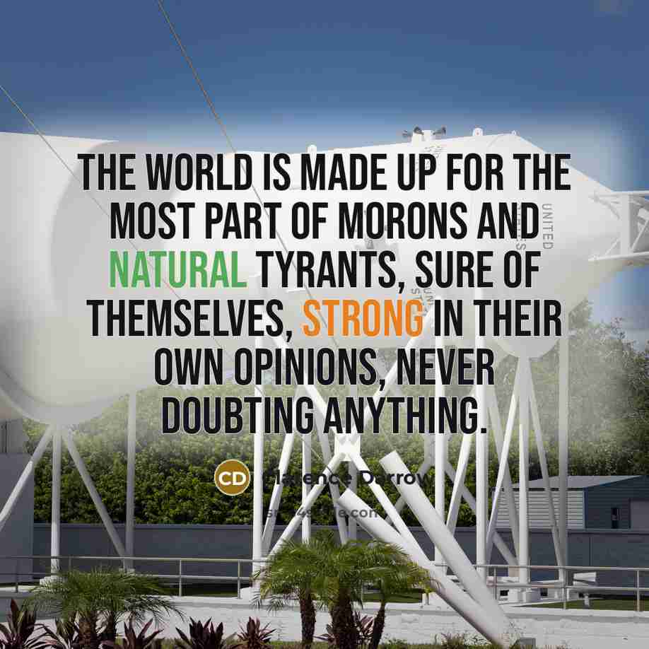 “The world is made up for the most part of morons and natural tyrants, sure of themselves, strong in their own opinions, never doubting anything.” quote by Clarence Darrow
