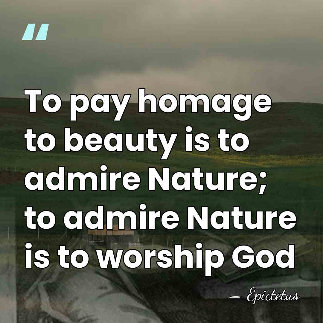 To pay homage to beauty is to admire Nature; to admire Nature&hellip; - Epictetus