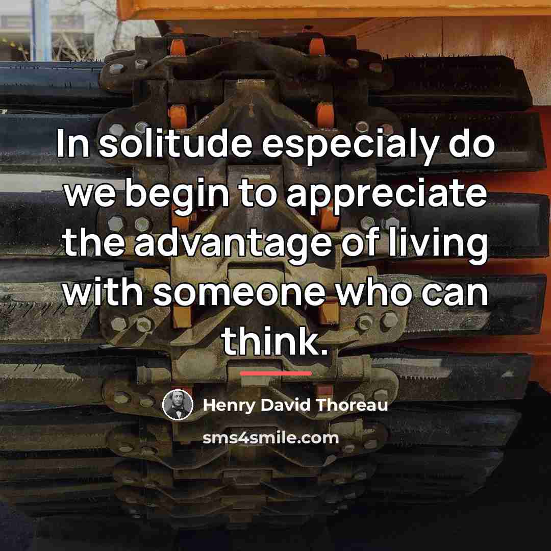 “In solitude especialy do we begin to appreciate the advantage…” quote by Henry David Thoreau