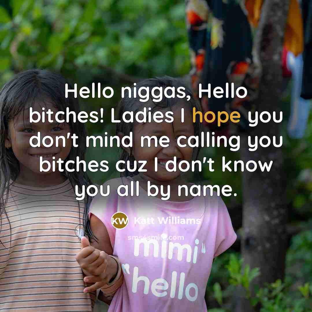 “Hello niggas, Hello bitches! Ladies I hope you don't mind…” quote by Katt Williams