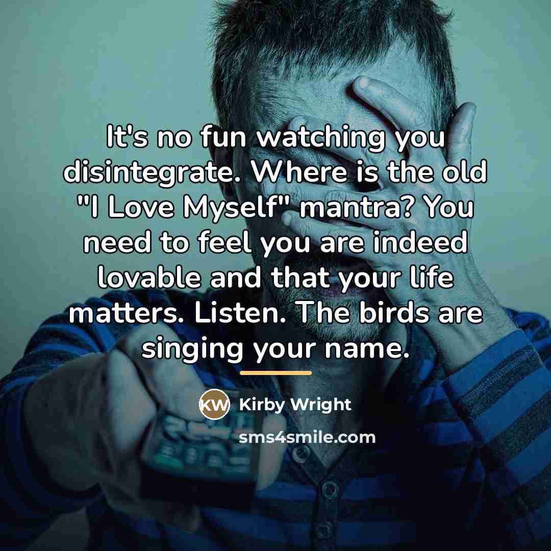 “It's no fun watching you disintegrate. Where is the old…” quote by Kirby Wright