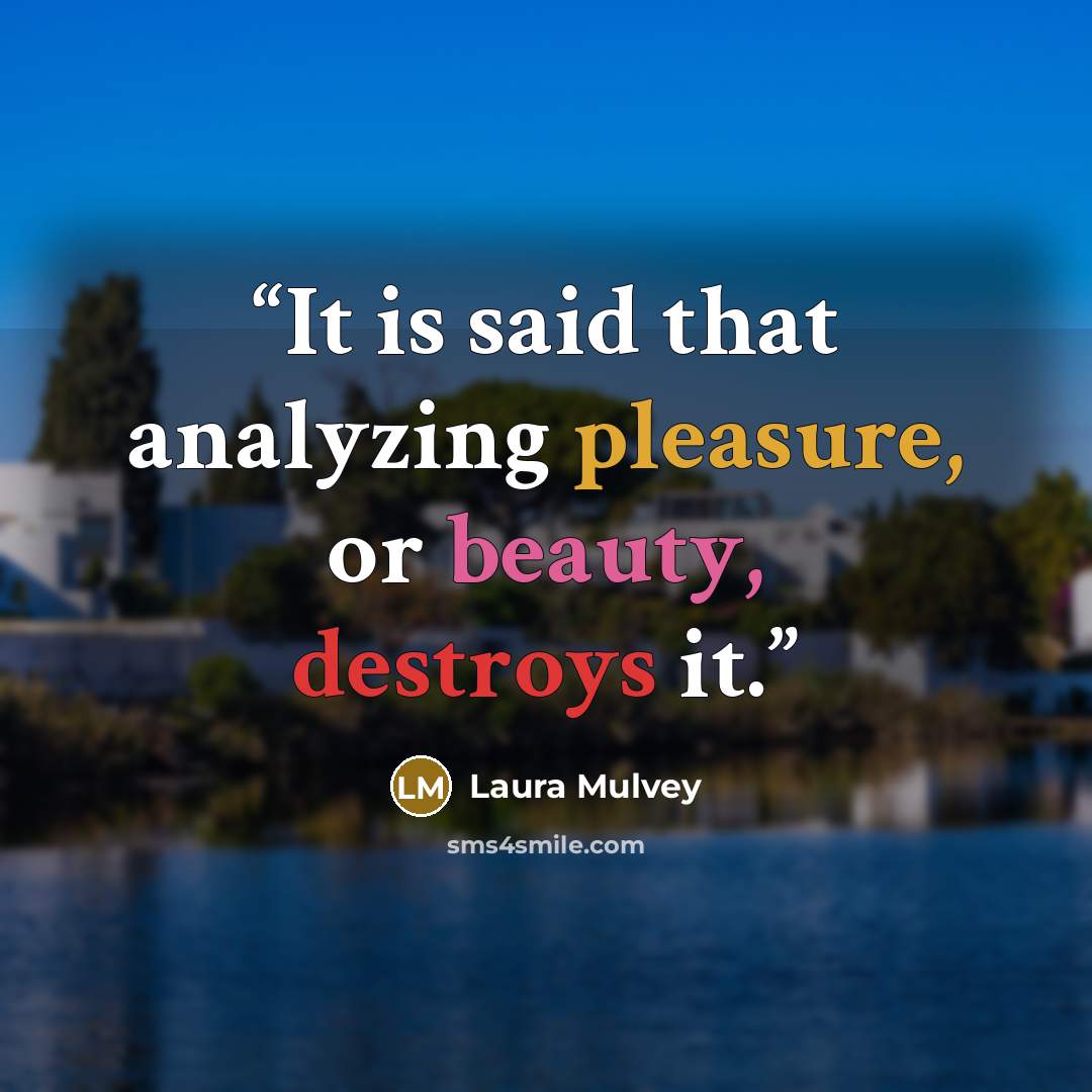 “It is said that analyzing pleasure, or beauty, destroys it.” quote by Laura Mulvey