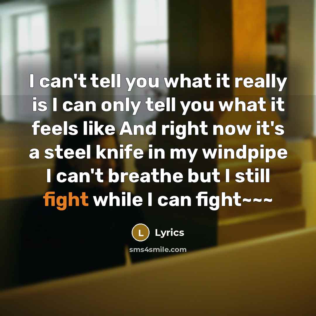 “I can't tell you what it really is I can only tell you what it feels like And right now it's a steel knife in my windpipe I can't breathe but I still fight while I can fight~~~” quote by Lyrics