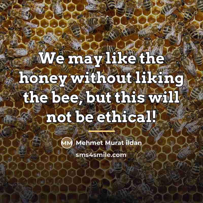 “We may like the honey without liking the bee, but…” quote by Mehmet Murat Ildan