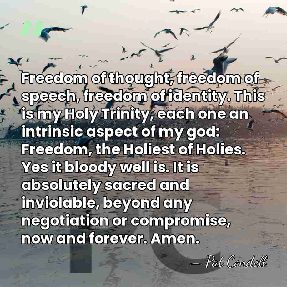 Freedom of thought, freedom of speech, freedom of identity. This is my&hellip; - Pat Condell