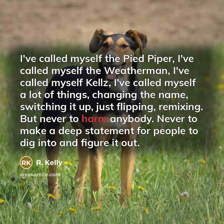 “I've called myself the Pied Piper, I've called myself the…” quote by R. Kelly