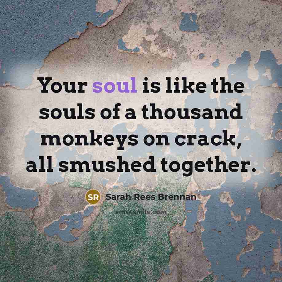 “Your soul is like the souls of a thousand monkeys…” quote by Sarah Rees Brennan