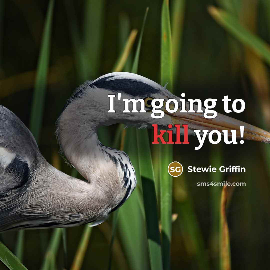 “I'm going to kill you!…” quote by Stewie Griffin