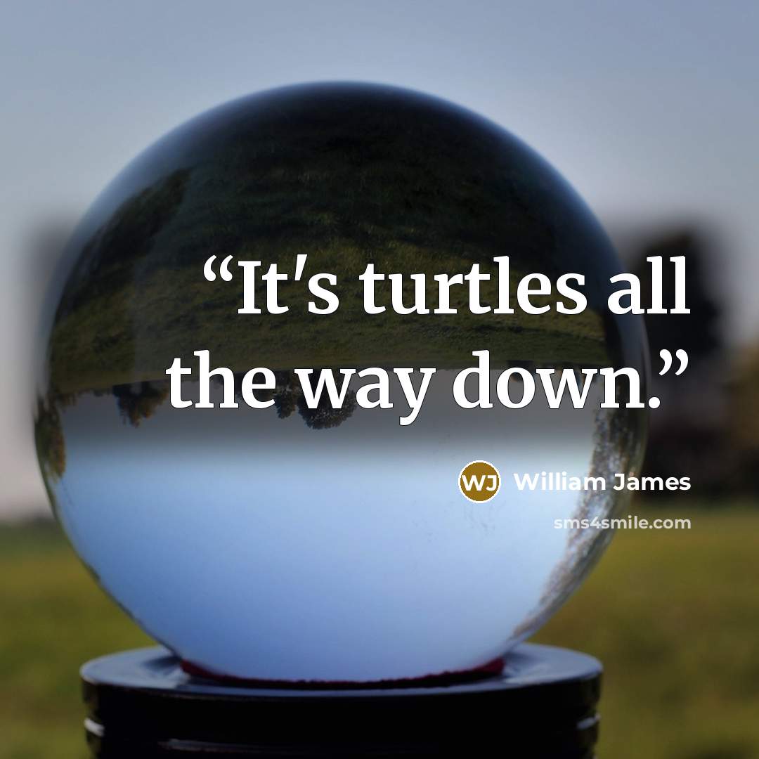 “It's turtles all the way down.” quote by William James