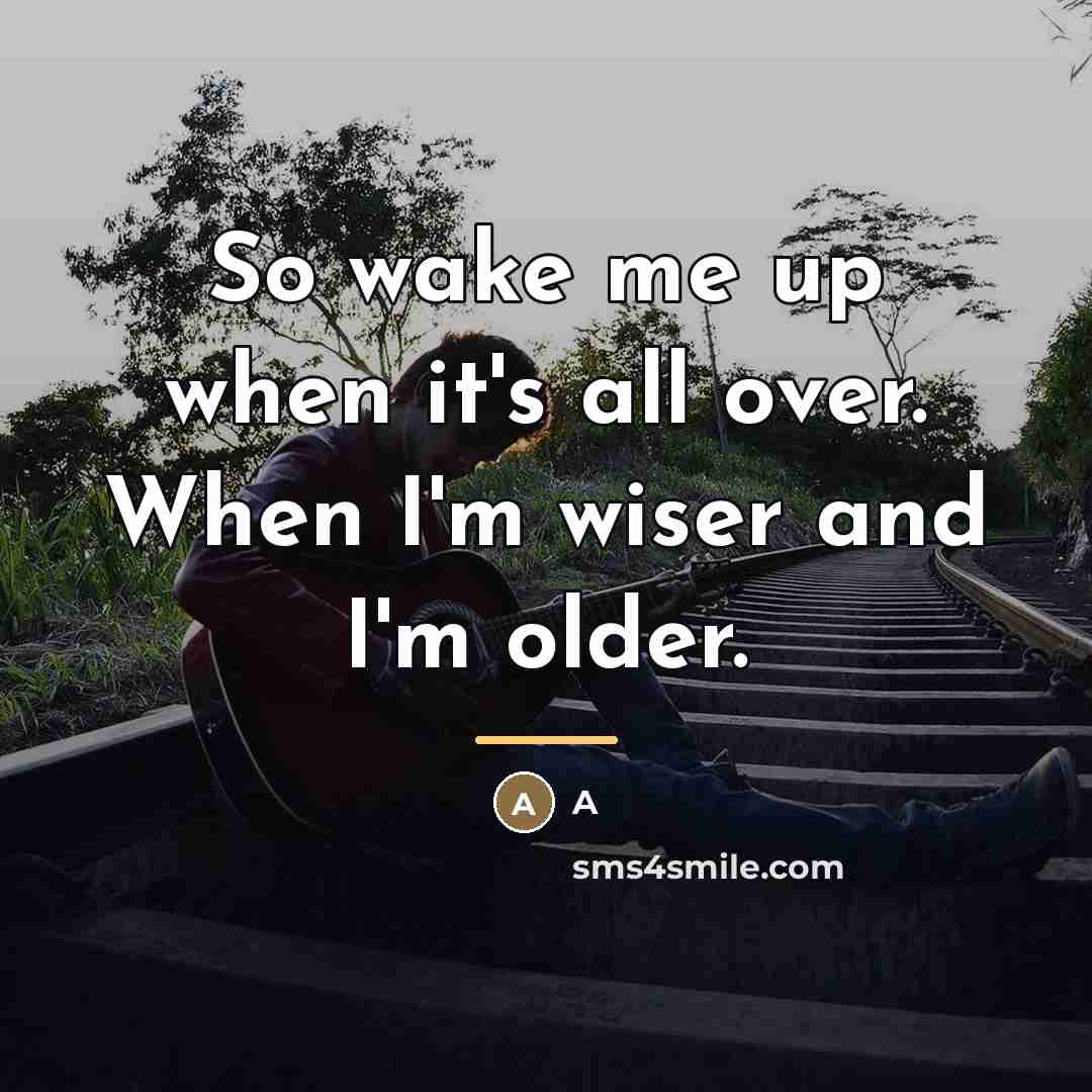 “So wake me up when it's all over. When I'm…” quote by A