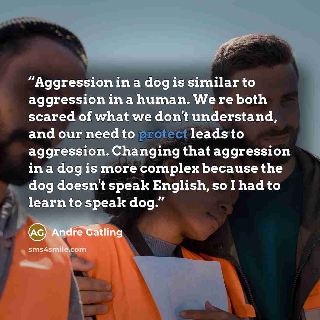 “Aggression in a dog is similar to aggression in a human. We re both scared of what we don't understand, and our need to protect leads to aggression. Changing that aggression in a dog is more complex because the dog doesn't speak English, so I had to learn to speak dog.” quote by Andre Gatling