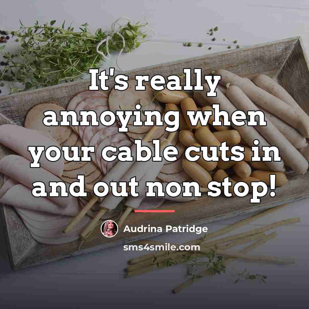 “It's really annoying when your cable cuts in and out…” quote by Audrina Patridge