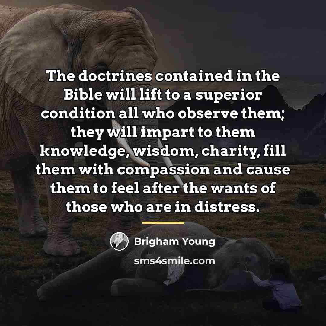 “The doctrines contained in the Bible will lift to a…” quote by Brigham Young