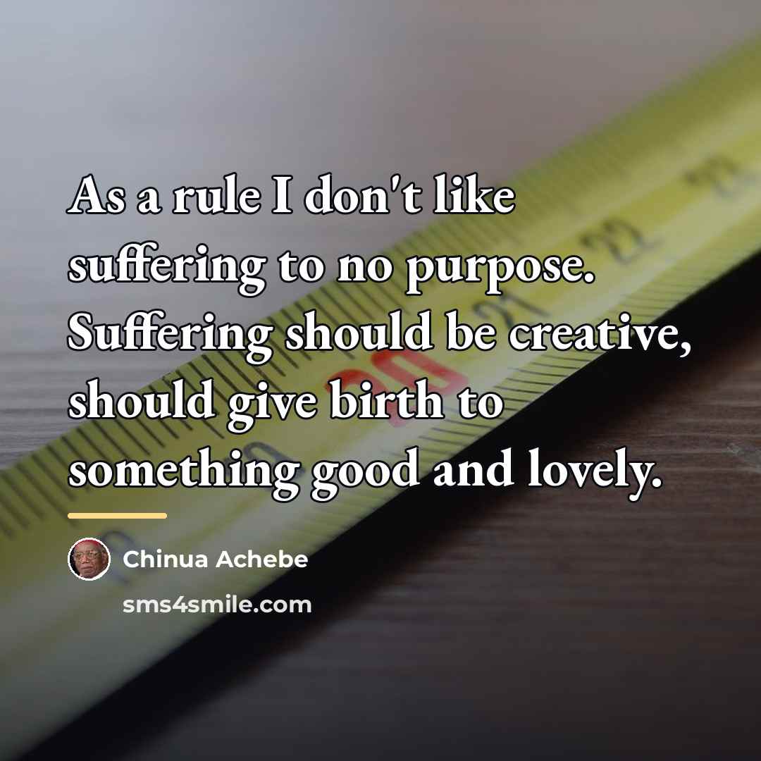 “As a rule I don't like suffering to no purpose.…” quote by Chinua Achebe