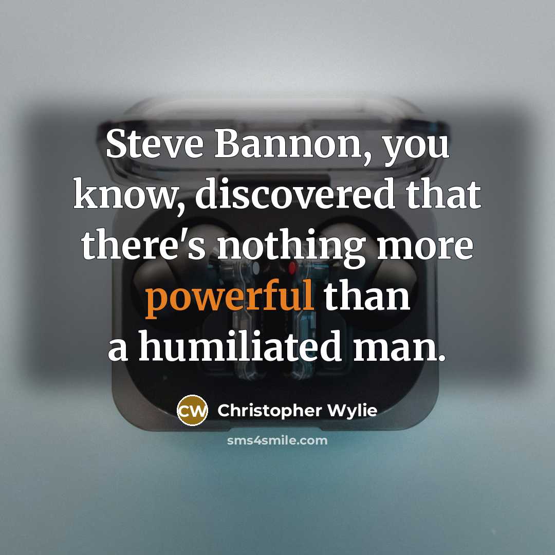 “Steve Bannon, you know, discovered that there's nothing more powerful…” quote by Christopher Wylie
