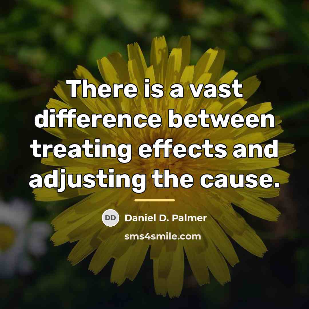 “There is a vast difference between treating effects and adjusting…” quote by Daniel D. Palmer