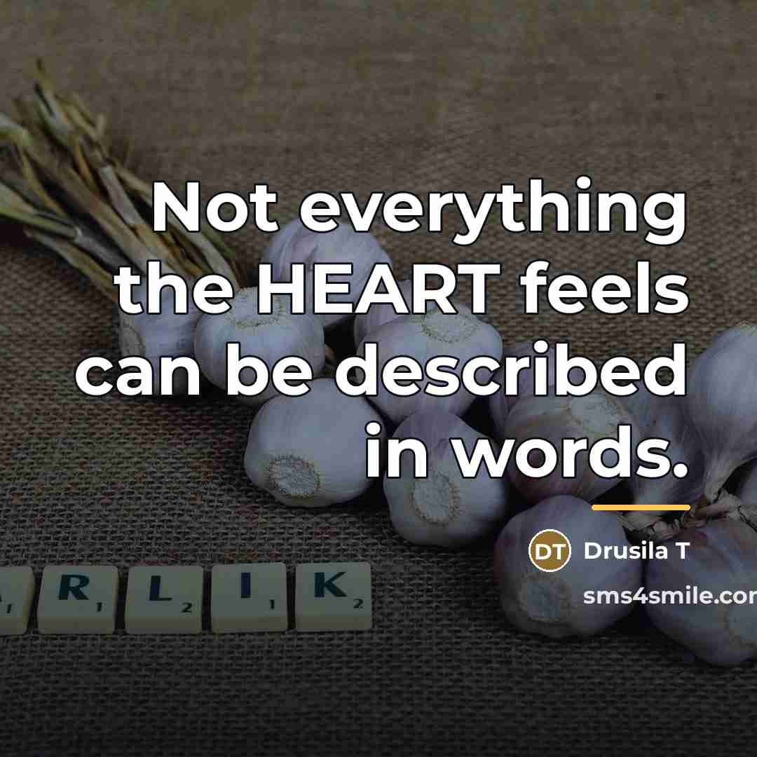 “Not everything the HEART feels can be described in words.…” quote by Drusila T