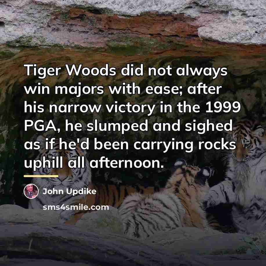 “Tiger Woods did not always win majors with ease; after…” quote by John Updike