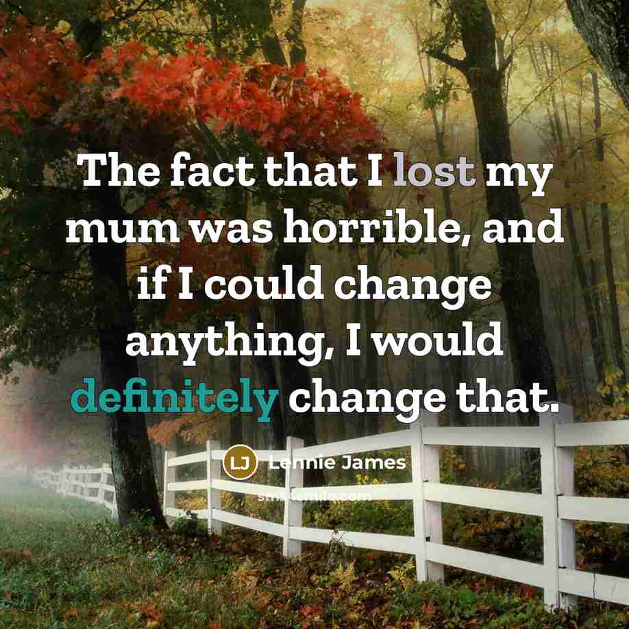 “The fact that I lost my mum was horrible, and…” quote by Lennie James