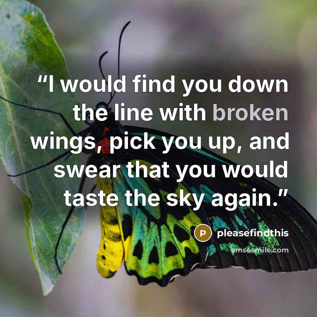 “I would find you down the line with broken wings, pick you up, and swear that you would taste the sky again.” quote by pleasefindthis