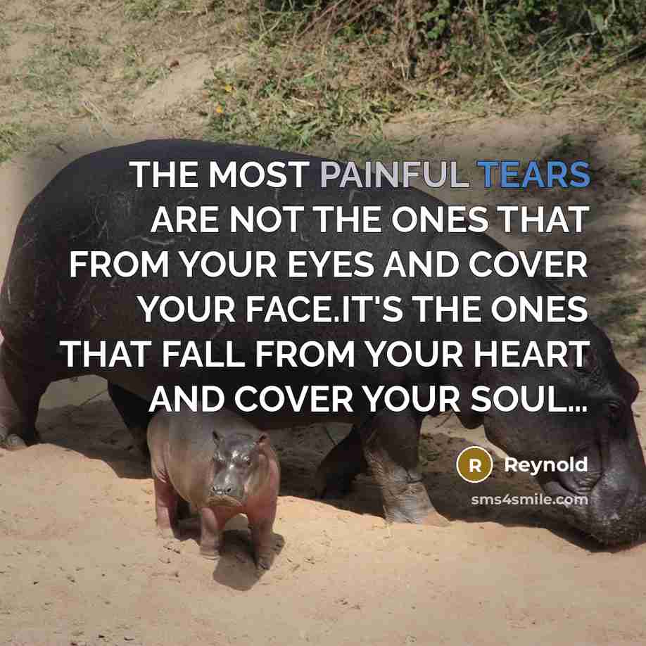 “THE MOST PAINFUL TEARS ARE NOT THE ONES THAT FROM YOUR EYES AND COVER YOUR FACE.IT'S THE ONES THAT FALL FROM YOUR HEART AND COVER YOUR SOUL…” quote by Reynold