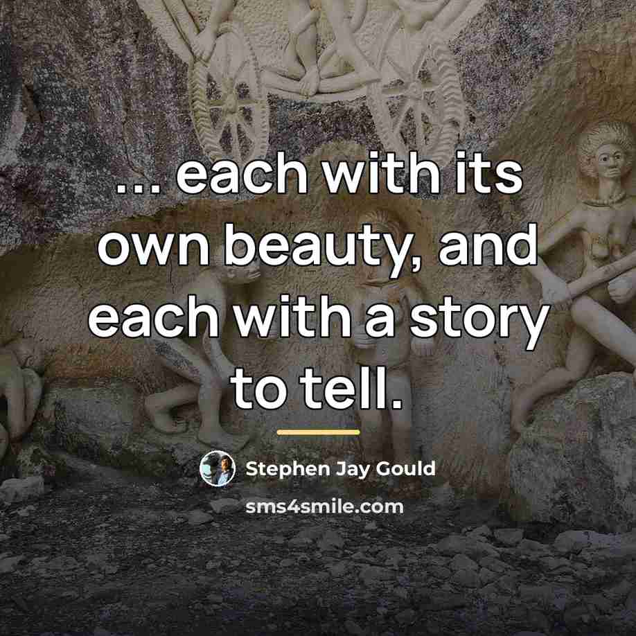 “... each with its own beauty, and each with a…” quote by Stephen Jay Gould