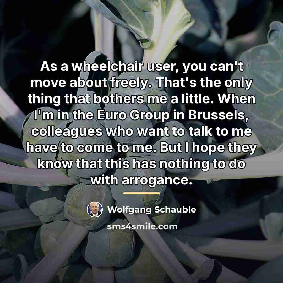 “As a wheelchair user, you can't move about freely. That's…” quote by Wolfgang Schauble