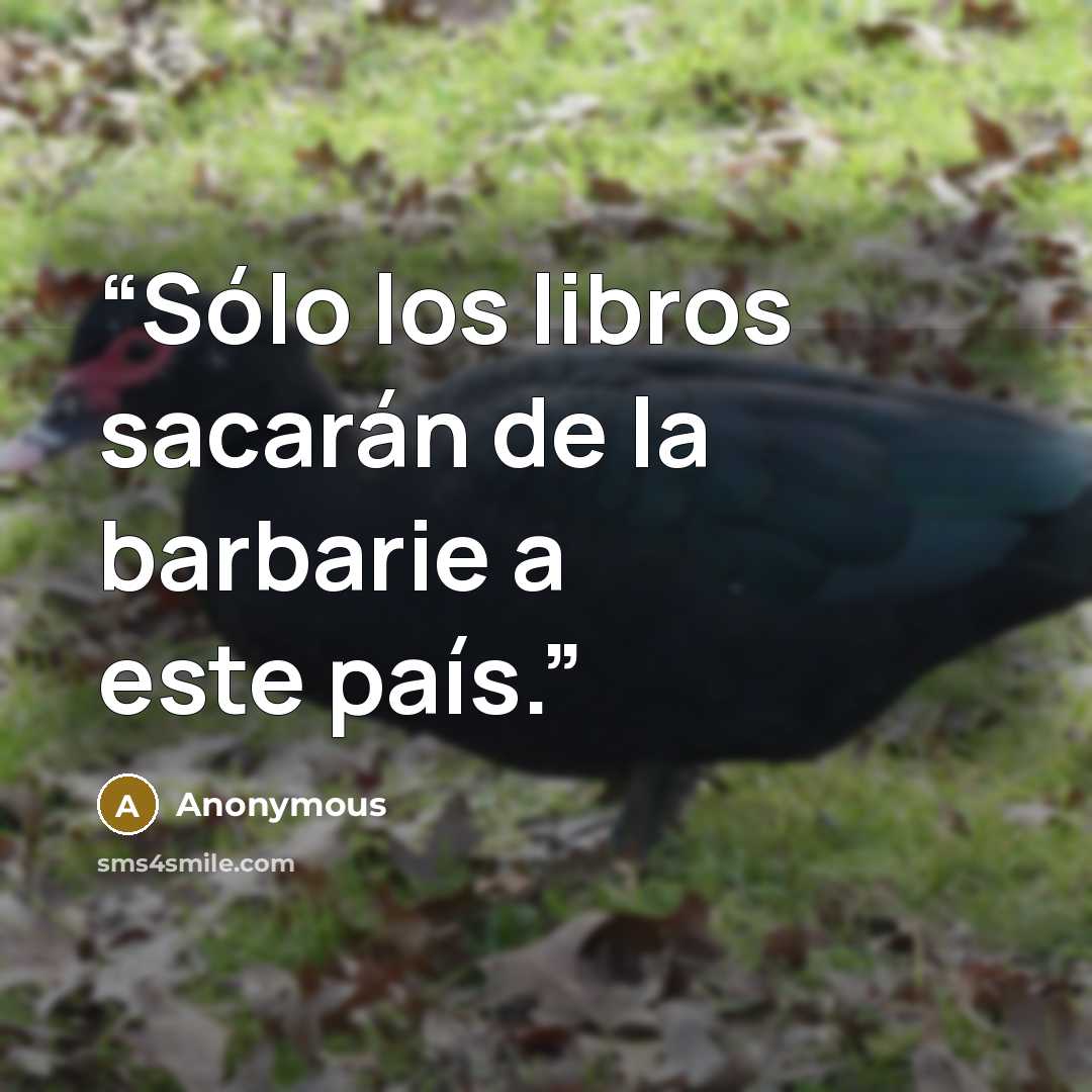 “Sólo los libros sacarán de la barbarie a este país.” quote by Anonymous