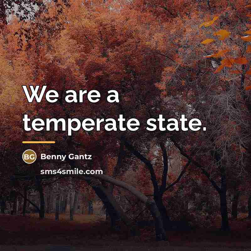 “We are a temperate state.…” quote by Benny Gantz
