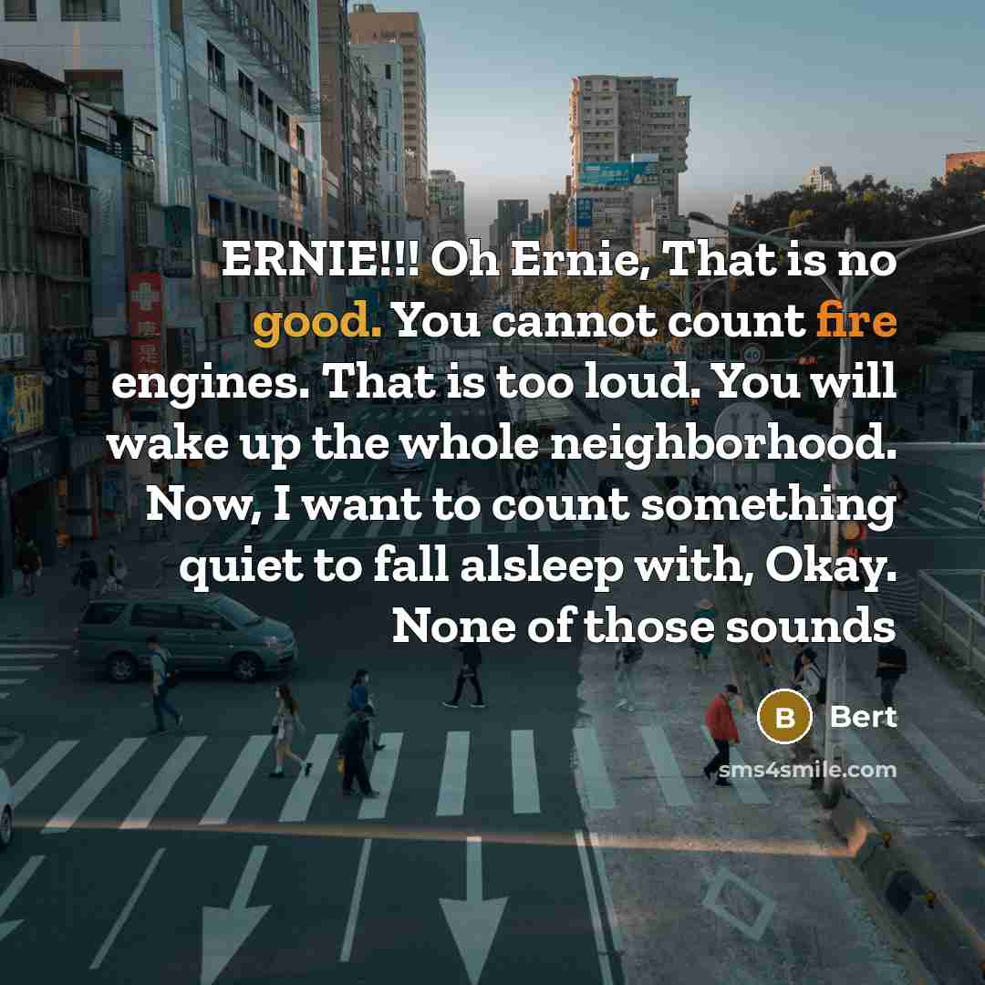 “ERNIE!!! Oh Ernie, That is no good. You cannot count fire engines. That is too loud. You will wake up the whole neighborhood. Now, I want to count something quiet to fall alsleep with, Okay. None of those sounds” quote by Bert