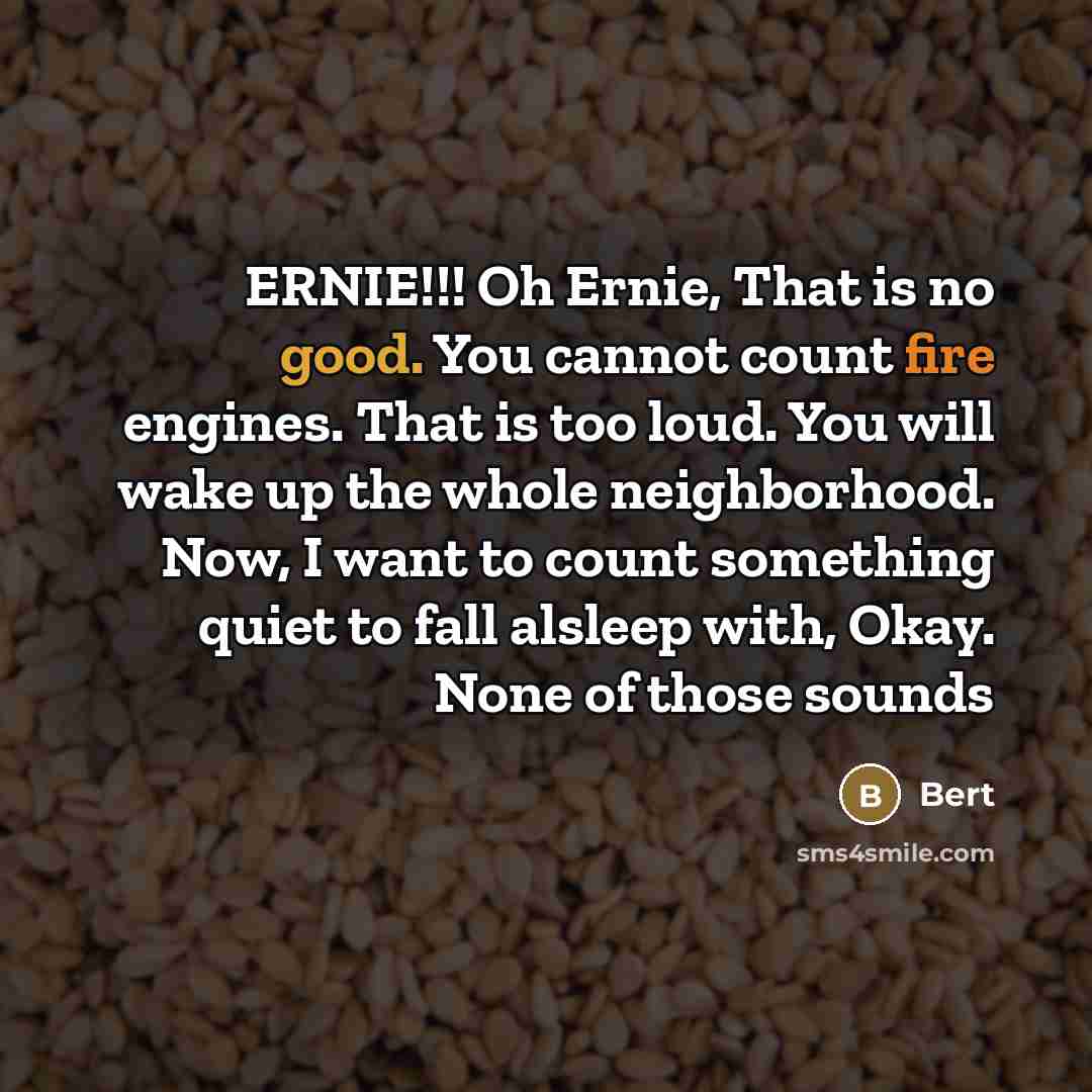 “ERNIE!!! Oh Ernie, That is no good. You cannot count…” quote by Bert