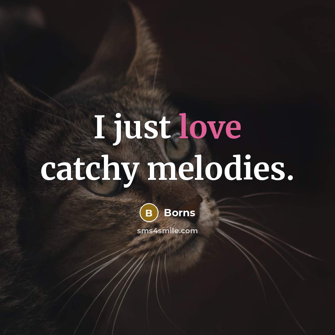 “I just love catchy melodies.…” quote by Borns