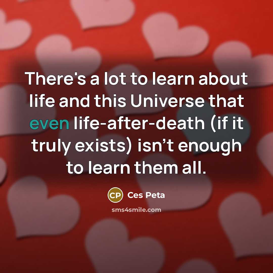 “There's a lot to learn about life and this Universe that even life-after-death (if it truly exists) isn't enough to learn them all.” quote by Ces Peta