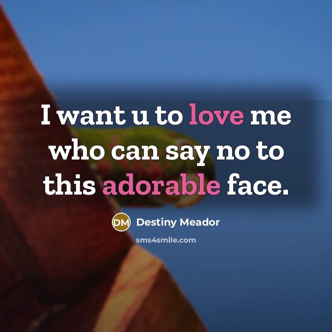 “I want u to love me who can say no to this adorable face.” quote by Destiny Meador