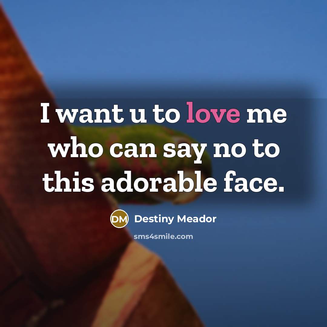 “I want u to love me who can say no…” quote by Destiny Meador